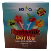 Esila Fantastik Dörtlü Bitkisel Yaz Çayı 45 Süzen Poşet - 1
