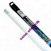 24W CORALSTAR 55CM SYLVANIA - 1