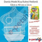Damla Modeli Kuş Kafesi Boyalı - 1