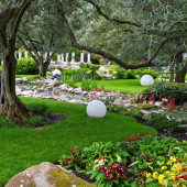 Plant Keep SHOOT 20-5-5+ME Çim Bakım Gübresi 25 kg - 4