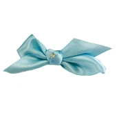 25 Adet Taşlı Saten Fiyonk - 5