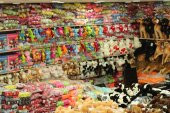 40CM PAPAĞAN KUŞ GERÇEK YÜZLÜ PELUŞ OYUNCAK KALİTELİ SAĞLIKLI - 4