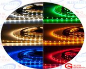 3 ÇİPLİ İÇ MEKAN MAVİ - 1