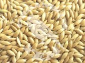 Aspur 1 KG - 1
