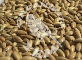 Aspur 1 KG - 2