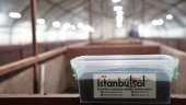 500 Adet Kırmızı Kaliforniya Solucanı 2.5Kg Mama Hediyeli - 3