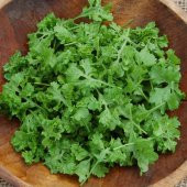 İthal Crinkled Kıvırcık Tere Tohumu 100 Tohum + Süpriz Hediye - 2