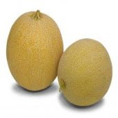 Süper Paket 300 Tohum Mis Kokulu Bal Ananas Kavun Tohumu - 2