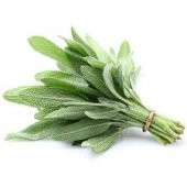 Eko Paket 50 Tohum Adaçayı Tohumu Ada Çayı Dağ Çayı Çay - 1