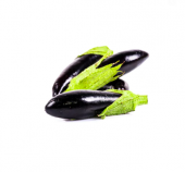 Nadir Thailand Mini Kemer Patlıcan Tohumu Ekim Seti 5 Tohum +Saks thumbnail 1