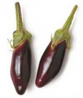 Nadir Thailand Mini Kemer Patlıcan Tohumu Ekim Seti 5 Tohum +Saks thumbnail 2