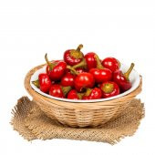 Eko Paket 100 Tohum Acı Cherry Kiraz Biberi Tohumu Biber Tohumu - 2