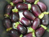 Eko Paket 200 Tohum Dolmalık Adana Patlıcan Tohumu + Süpriz Hediy - 2