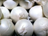 Eko Paket 1000 Tohum Tatlı Beyaz Soğan Tohumu + Süpriz Hediye Toh thumbnail 2