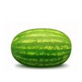 Eko Paket 75 Tohum Meşhur Diyarbakır Karpuzu Tohumu Karpuz Tohumu - 1