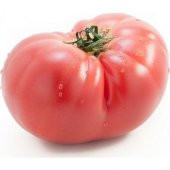 Eko Paket 75 Tohum İthal Pembe Domates Tohumu İri Cins + Süpriz - 1