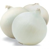 Süper Paket 2000 Adet Tohum İthal Nadir Tatlı Beyaz Soğan Tohumu thumbnail 2