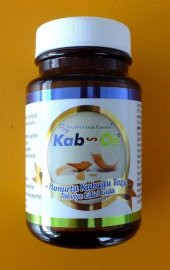 KAB OS YUMURTA KABUĞU TOZU 100GR (Mensei Türkiye) - 1