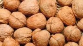 CEVİZ KABUKLU 1 KG - 1