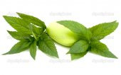 NANELİ SABUN 1KG - 1