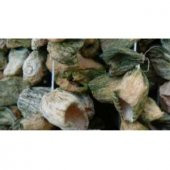 KURUTMALIK ACUR 50 adet - 1