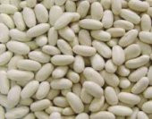 FASULYE (10ML) 5 KG - 1