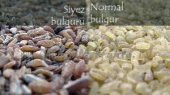SİYEZ BULGURU 1 KG - 3