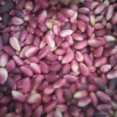 BENG FISTIK 1 KG - 2