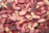 BENG FISTIK 1 KG - 3