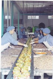 Doğan Çiftliği Konserve Barbunya Pilaki 200gr 6lı Paket. (DK2) - 5