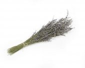 Kuru Çiçek Kurutulmuş Lavanta Demeti 55 cm - 1