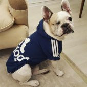ADIDOG NAVY 4 BIG DOGS - LACİVERT - 1