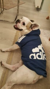 ADIDOG NAVY 4 BIG DOGS - LACİVERT - 7