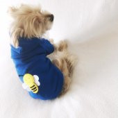 Athletique Arılı Köpek Süeteri  Köpek Kıyafet Elbise - 2