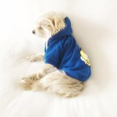 Athletique Arılı Köpek Süeteri  Köpek Kıyafet Elbise - 9