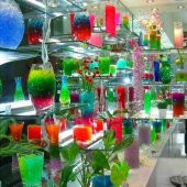 XL BÜYÜK BOY 250 ORBEEZ SU MAYMUNU MAYMUNCUĞU ŞİŞEN BÜYÜYEN TOP K - 5