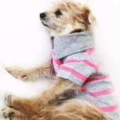 Gri Pembe Çizgili Polo Yaka Tişört  Köpek Kıyafeti  Köpek Elbisesi - 8