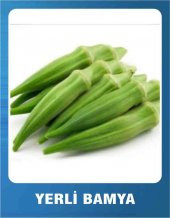 Yerli Bamya Tohumu - 10 gr -170 Adet Tohum - 2