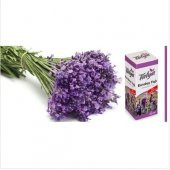 Talya Karabaş Otu Yağı 20 Ml - 1