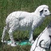 Koyun Kuzu İç ve Dış mekan 50cm Bahçe Oda Çimenlik Köşe Heykeli - 2