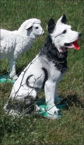 Şirin Kurt Köpek Köpeği Kaideli Kapı Yanı Oda Bahçe Süsü Heykeli - 1