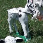 Semerli Heybeli Saksılı Eşşek Merkeb İç Dış Mekan 50cm Heykeli - 2