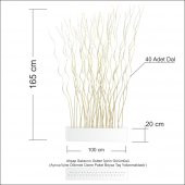 Uzun 165 cm Dallı Beyaz 100 cm Genişlik Saksılı Oda Bölme Seperatör Paravan - 3