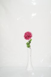 Uzun 40 cm Beyaz Delikli Dengeli Vazo 1 Mor Ortanca Çiçek - 1