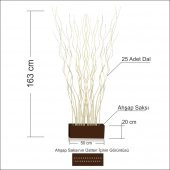 Geniş 160 cm Yüksekliğinde 50 cm Genişlik Doğal Dallardan Oda Bölme Paravan Seperatör - 3