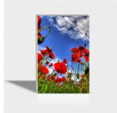 60x90 cm Gelincikler Canvas Tablo - 1