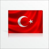 Dershane Devlet Dairesi Kurumlar İçin Türk Bayrağı Kanvas Tablo - 1