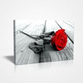 Kırmızı Gül Canvas Tablo - 1
