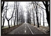 70x100cm Ağaçlı Yol Poster Dökülmüş Yapraklar Tablo - 1