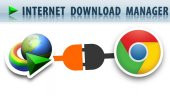 İDM İnternet Download Manager 1 Pc Ömü Boyu Orjinal Lisans - 2